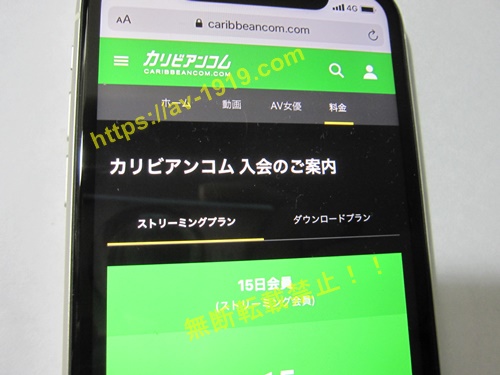 �J���r�A���R���̓�����@